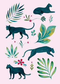 Ilustrace Panther