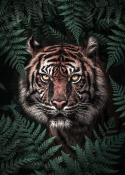 Canvas Print Tiger