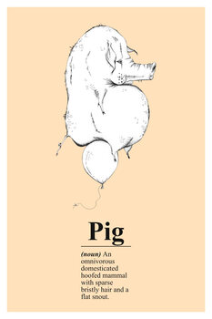 Illustration Pig