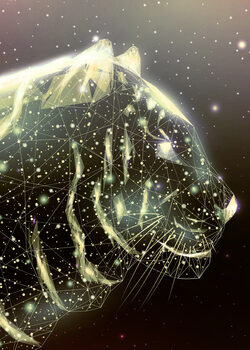 Canvas Print Astral Tiger Lion Animal
