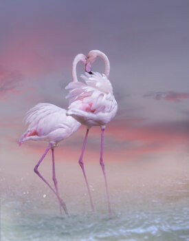 Ilustração Flamingo Ballet