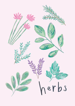 Herbs & Spices Posters & Wall Art Prints | Buy Online at UKposters.co.uk