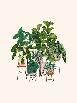 Illustrazione Plant Friends