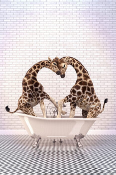 Canvas Print Giraffe in the bath