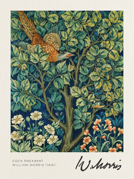 Canvas Print Cock Pheasant - William Morris