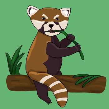 Illustration Red panda
