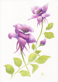 Ilustrácia Purple Flowers