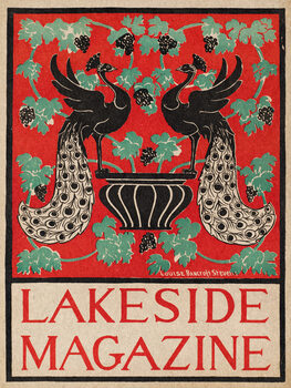 Illustration Lakeside Magazine (Black & Red Peacocks)