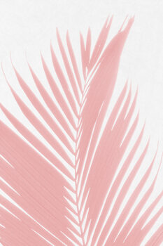 Canvas Print Palm Leaves on Pink III
