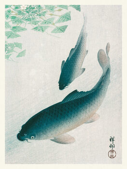 Ilustracja Two Carp Fish (Japandi Vintage) - Ohara Koson