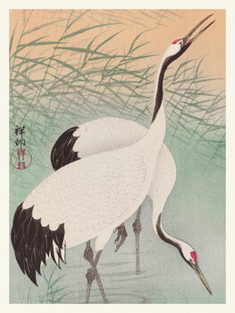Leinwand Poster Two Cranes (Japandi Vintge) - Ohara Koson