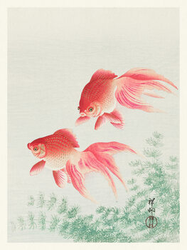 Художествено Изкуство Two Veil Goldfish (Japandi Vintage) - Ohara Koson