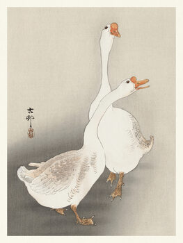Ilustrace Two Geese (Japandi Vintage) - Ohara Koson
