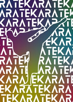 Ilustrácia Karate Colorful Silhouette