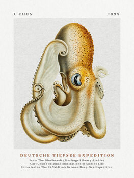 Canvas Print Deutsche Tiefsee Expedition Poster No.1 (Vintage Octopus) - Carl Chun