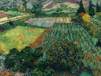 Ilustratie Field with Poppies - Vincent van Gogh