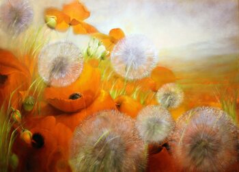 Canvas Print Poppies and dandelion in evening light