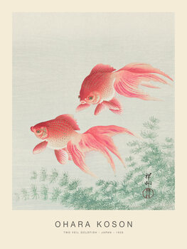 Ilustrace Two Veil Goldfish (Special Edition) - Ohara Koson