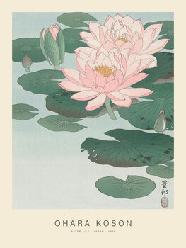 Print op canvas Water Lily (Special Edition) - Ohara Koson