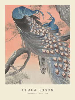 Cuadro en lienzo Two Peacocks (Special Edition) - Ohara Koson copy