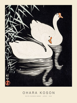 Canvas Print White Chinese Geese (Special Edition) - Ohara koson