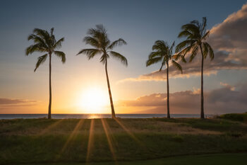 Fotografia artystyczna Maui