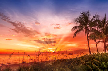 Umelecká fotografie BONITA BEACH Picturesque Sunset