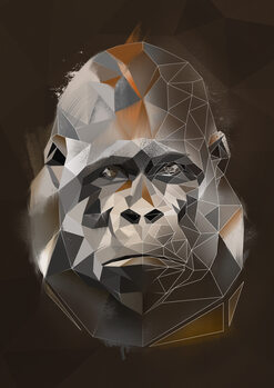Ilustrace Gorilla