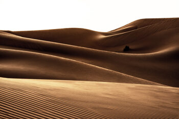 Umělecká fotografie Wild Sand Dunes - The Waves