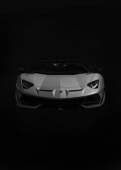 Tableau sur toile Lamborghini BW