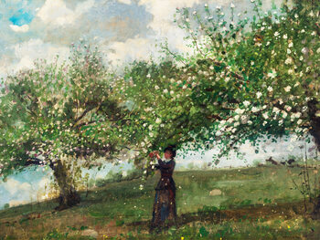 Canvas Print Girl Picking Apple Blossoms (Apple Orchard Harvest) - Winslow Homer