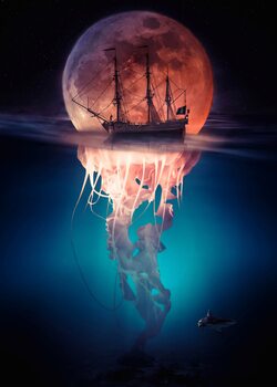 Valokuvataide Pirate Jellyfish and Moon