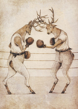 Canvas Print Wild Boxing