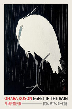 Ilustrace Egret in the Rain (Japanese Woodblock Japandi print) - Ohara Koson