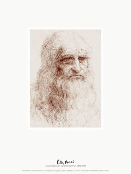Lámina Self Portrait (L'Autoritratto di Leonardo da Vinci) - Leonardo da Vinci