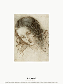 Lámina The Head of Leda (La Testa di Leda) - Leonardo da Vinci