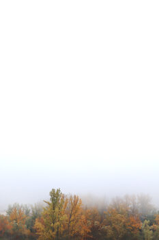 Fotografia artystyczna Foggy fall day I