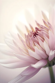 Fotografia artistica Macro pink flower