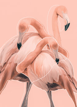 илюстрация Flamingos nr. 1