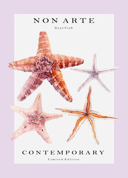 Ilustrace Non Arte Starfish