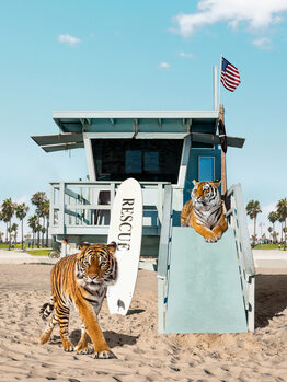 Tiger's Beach