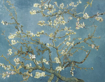 Fine Art Print Vincent van Gogh - Almond Blossoms