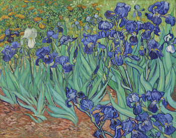 Stampa artistica Irises, 1889