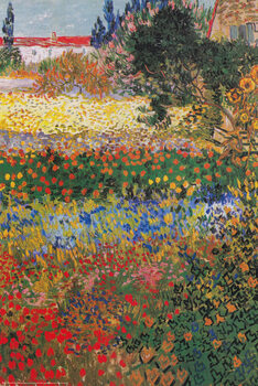 Plakát Garden in Bloom, Arles, July 1888