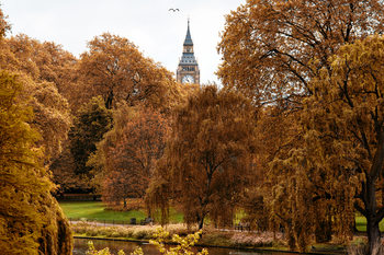 Art Photography View of St James's Park Lake with Big Ben
