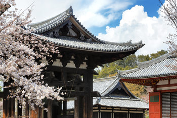 Umělecká fotografie Todai-ji Temple Nara