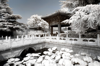 Kunstfotografi White Lotus Temple