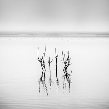 Kunstfotografi Vegoritida Lake 005