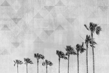 Ταπετσαρία τοιχογραφία California Vibes In Black & White