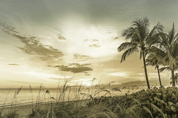 Fotografia artystyczna BONITA BEACH Sunset | Vintage